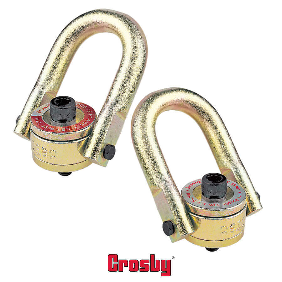 Hoist Rings