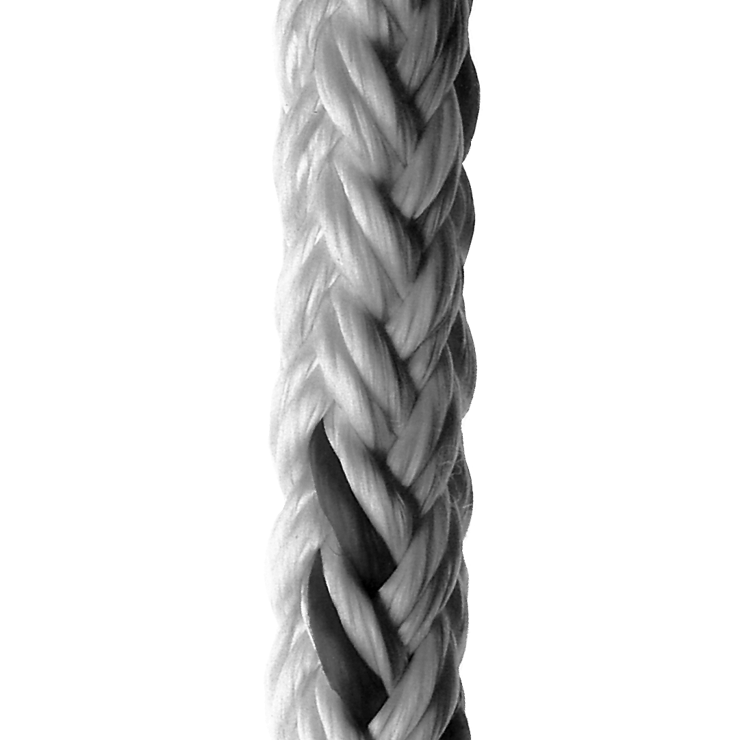 12-Strand 12-Strand