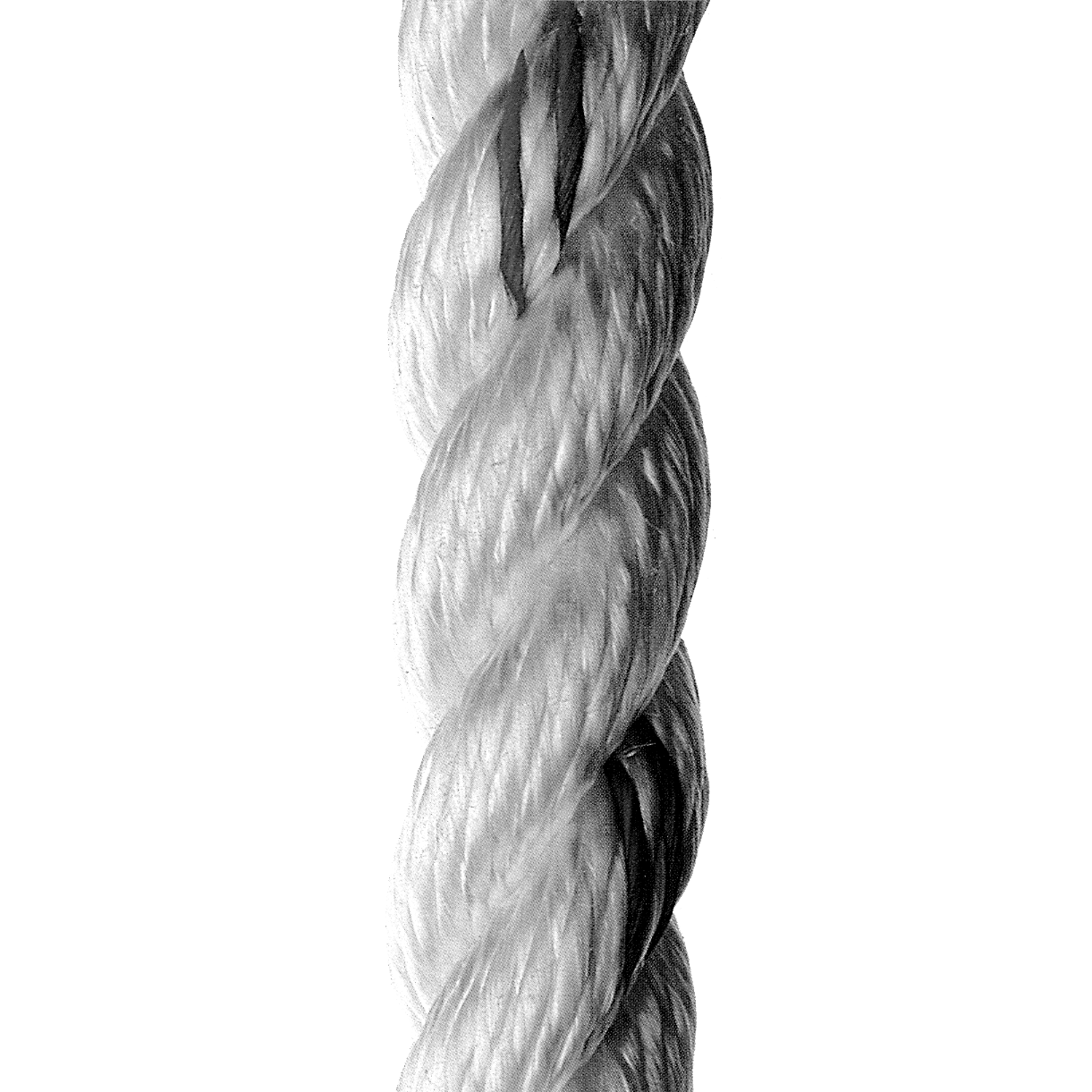 3-Strand 3-Strand