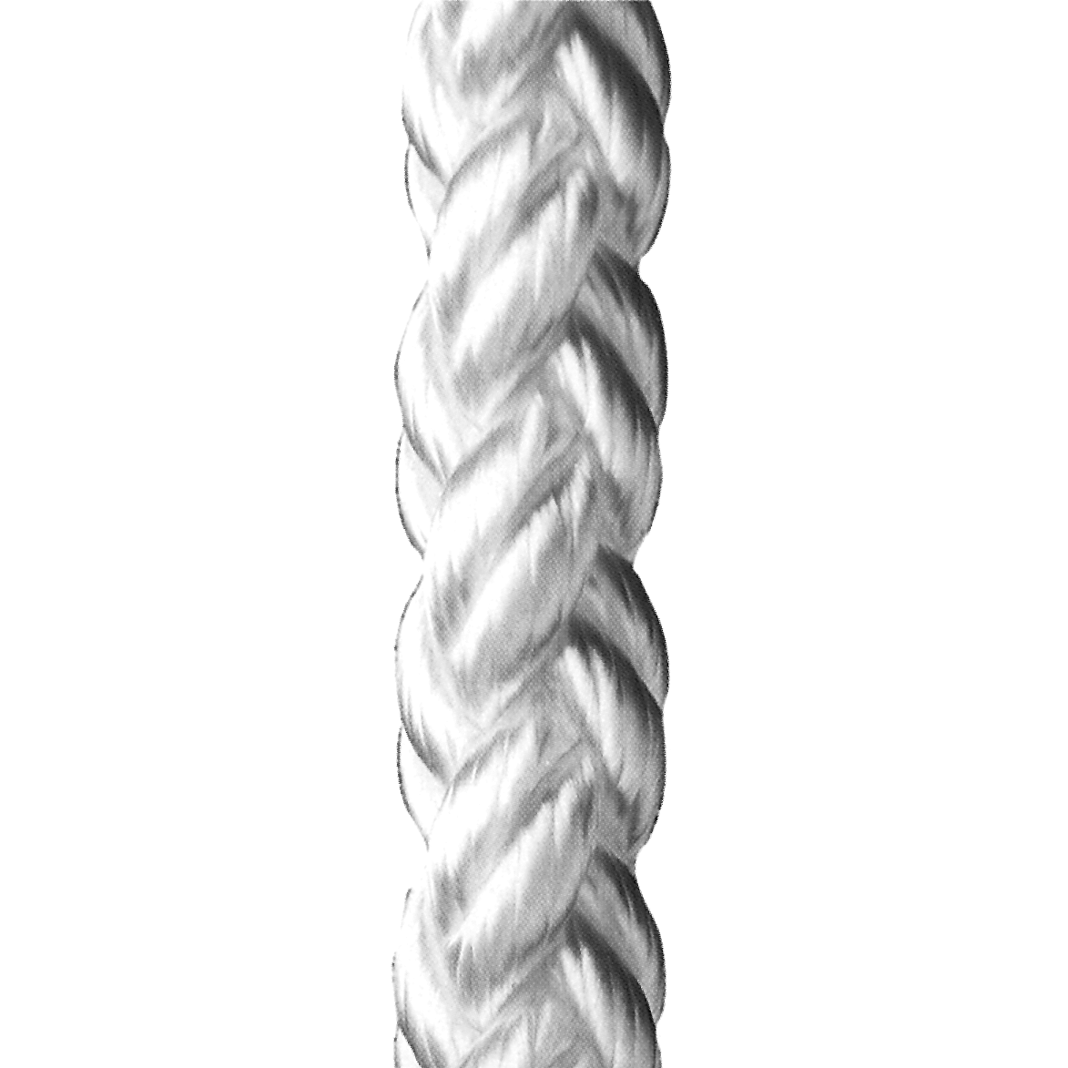 8-Strand 8-Strand