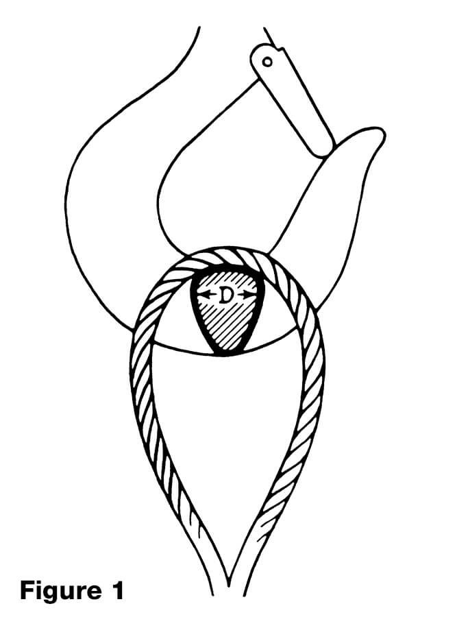 NOMINAL SLING STRENGTH