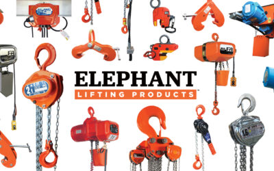 Partner Spotlight: Elephant – Where Family Values Meet Lifting Excellence