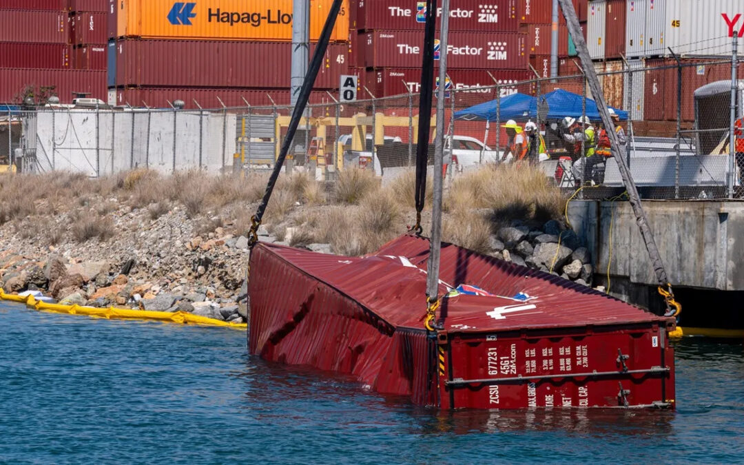 CERTEX Plays Key Role in Container Recovery at Port of Long Beach
